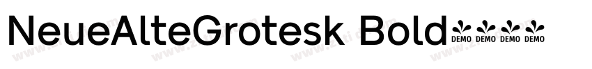 NeueAlteGrotesk Bold字体转换